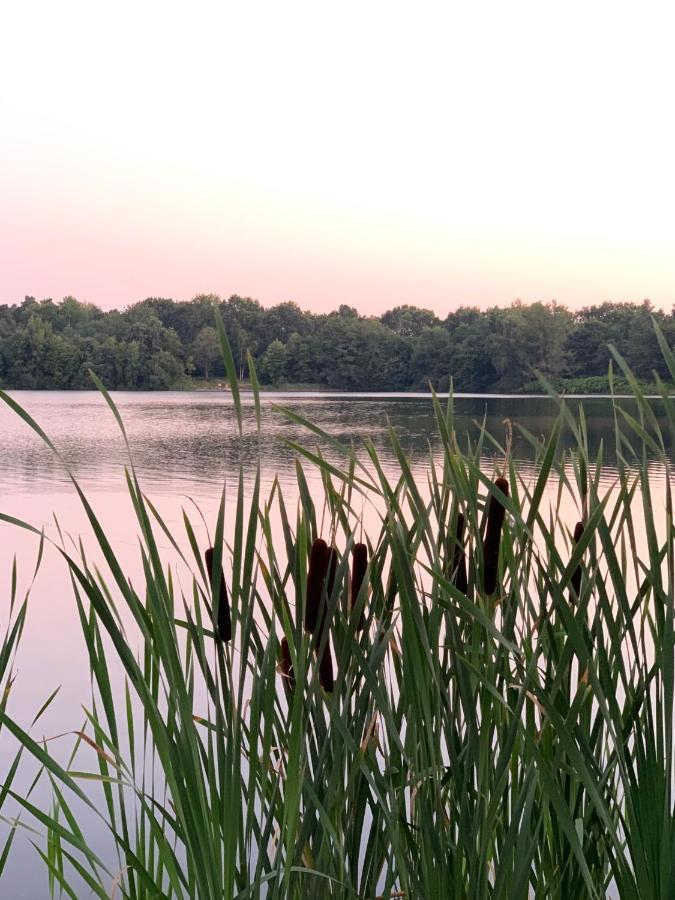 Barssel  Ferienhaus Seeblick Am Harkebruegger See Mit Sauna Und Kamin מראה חיצוני תמונה