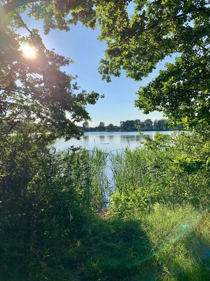 Barssel  Ferienhaus Seeblick Am Harkebruegger See Mit Sauna Und Kamin מראה חיצוני תמונה